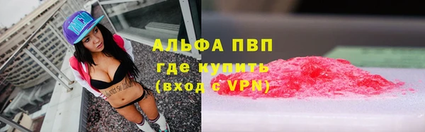 индика Беломорск
