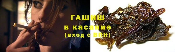 индика Беломорск