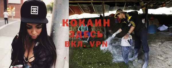 крисы Белокуриха