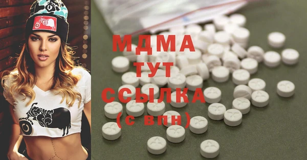 индика Беломорск
