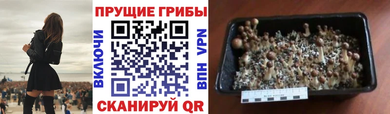 Галлюциногенные грибы MAGIC MUSHROOMS Облучье