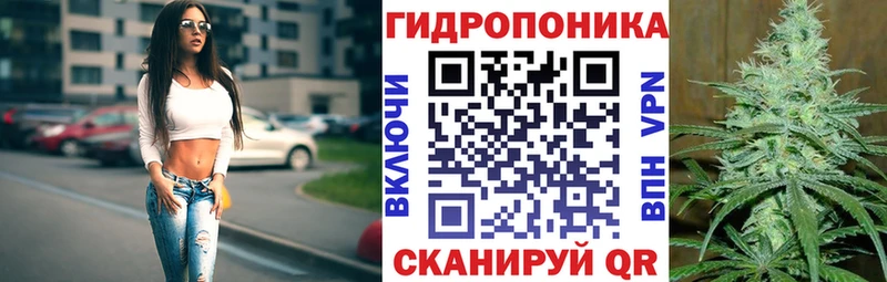 дарк нет как зайти  Облучье  Конопля гибрид 